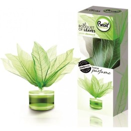 Odświeżacz 50 ml Green Diamond - BRAIT