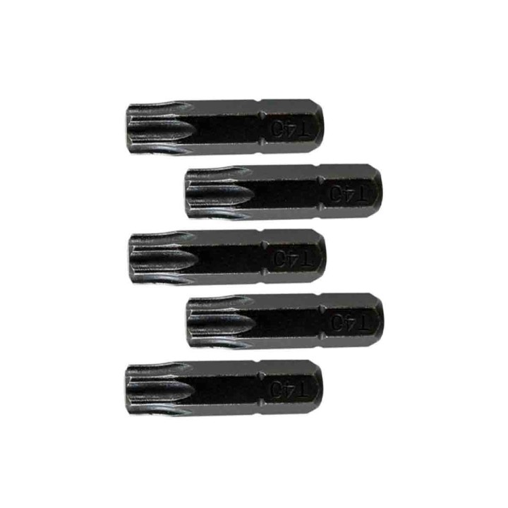 Bity 1/4" TORX T40 DT7373T-QZ DeWALT