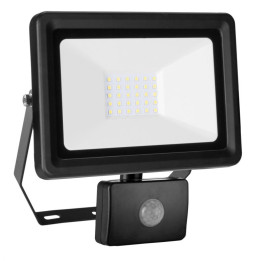 Naświetlacz 30 W SMD LED DEDRA - L1091-3