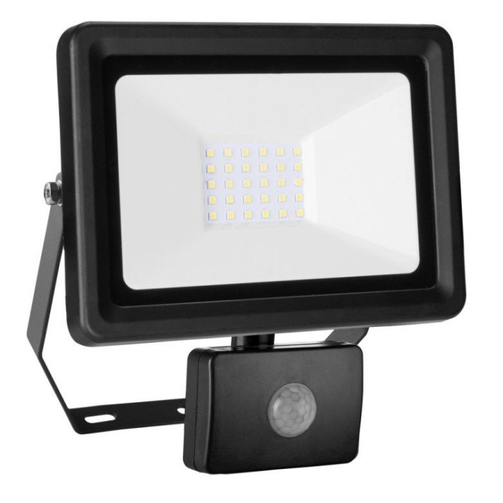 Naświetlacz 30 W SMD LED DEDRA - L1091-3