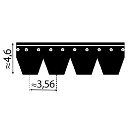 Pas 6PK 1488 - Pix