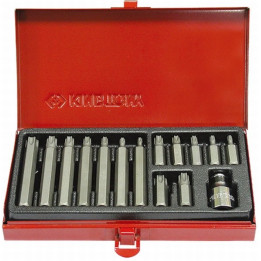 Zestaw bitów 10 mm Torx T20 - T55, 15cz. King Tony - 1015PQ