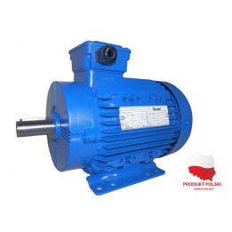 Silnik elektryczny 3Sg132S2B-IE2